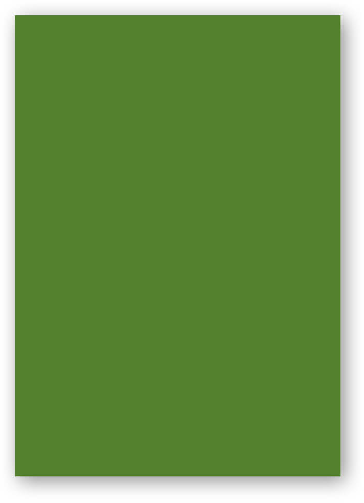 Umschlag Cover aus Polypropylen DIN A4 0,30 mm grün | Bestnr. POLYCOVER-GR