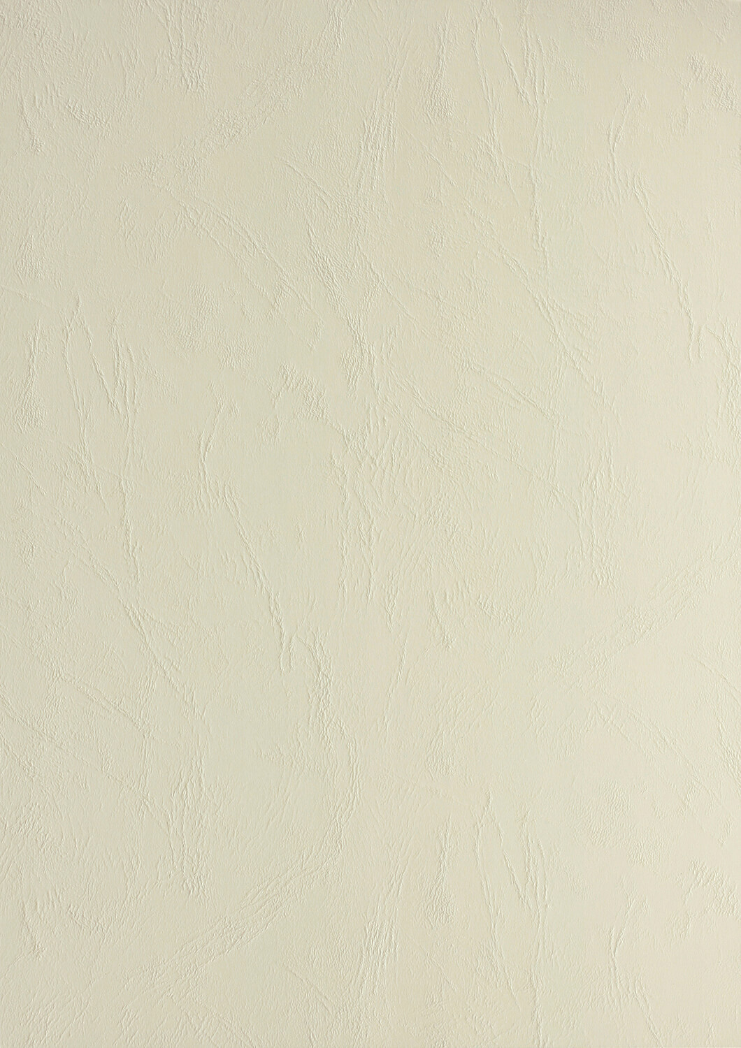 Clairefontaine 240g A4 ledergenarbter Kaarton beige 2771 | Bestnr. UMBR240-2771