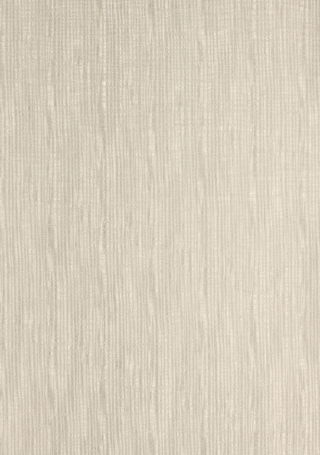 Leinengenarbter Karton A4 Clairefontaine 270g beige 2724 | Bestnr. UMLE270-2724